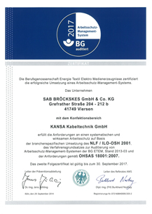 Arbeidsveiligheidsmanagement naar NLF/ILO-OSH 2001 en OHSAS 18001:2007